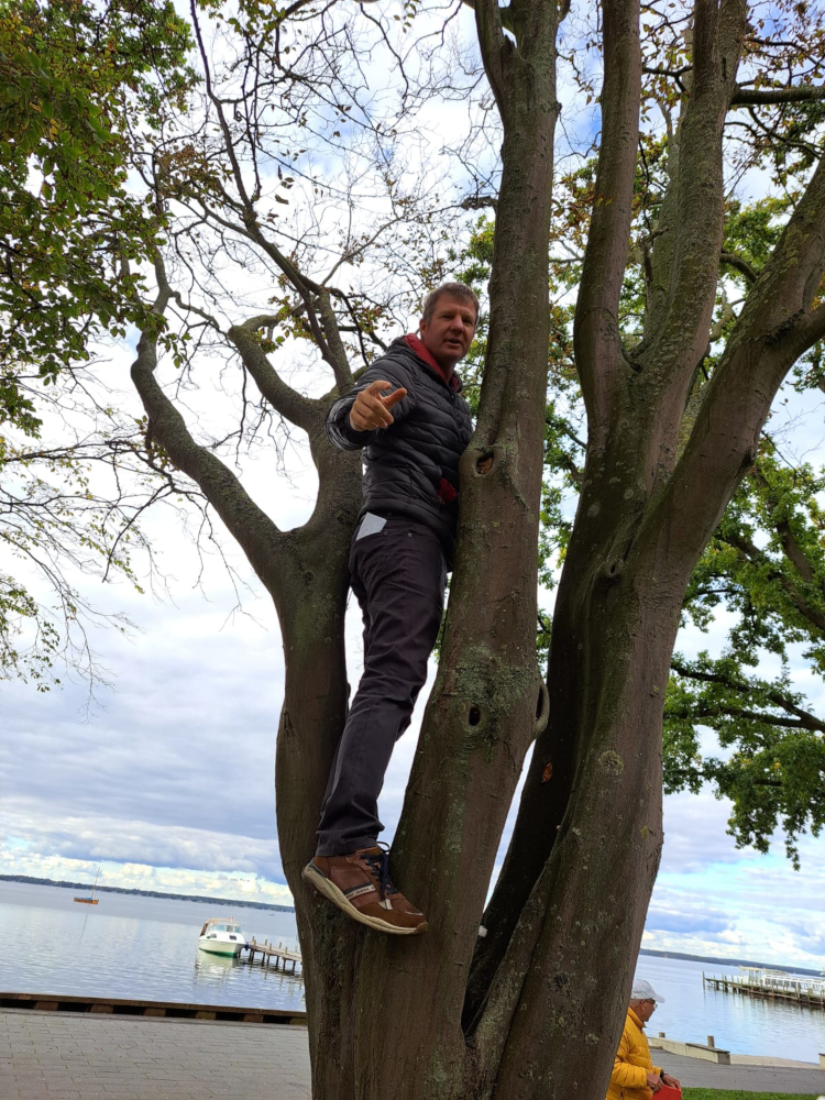 Startposition der Kugelbahn - Carl klettert in den Baum